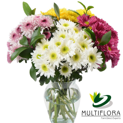 multiflora.com clustered poms clustered poms4 1