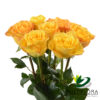 multiflora.com consumer bunches roses formato web logo multiflora