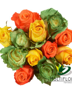 multiflora.com consumer st patricks roses consumer st patricks roses 1