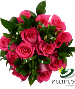 multiflora.com dozen roses dark pink greens dozen roses dark pink greens 2