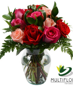 multiflora.com dozen roses mix dozen roses mix 2