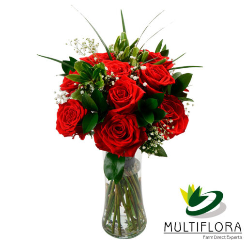 multiflora.com dozen roses red gypsophilia dozen roses gypso 1