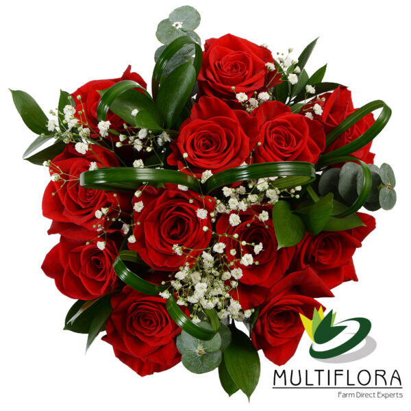 Dozen roses (Red Heart) Vistaflor