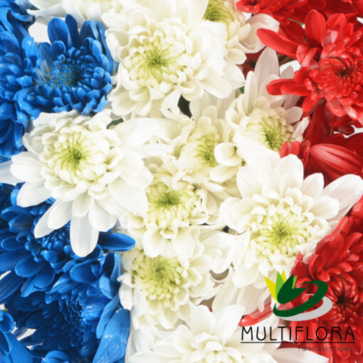 multiflora.com flag flag prodc2