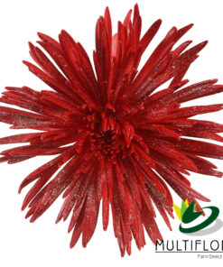 multiflora.com glitter scarlet red glitter scarlet red 1