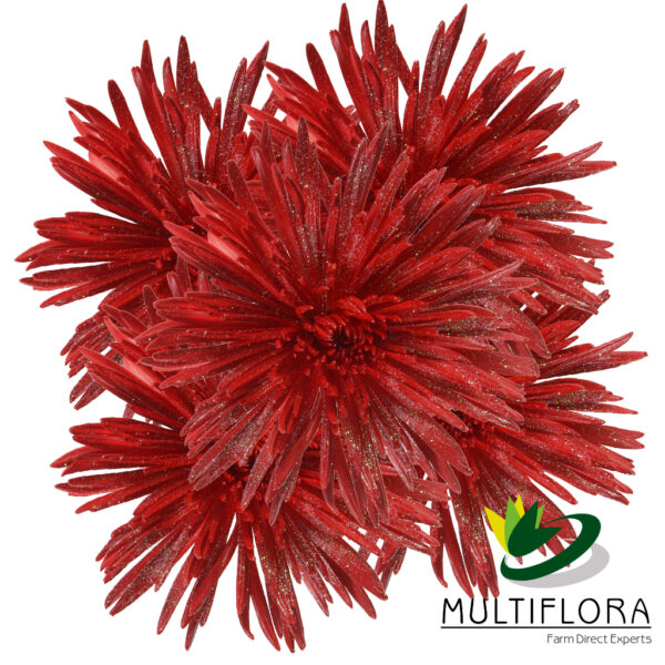 multiflora.com glitter scarlet red glitter scarlet red 2