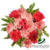 multiflora.com love carnations love carnations prod 1