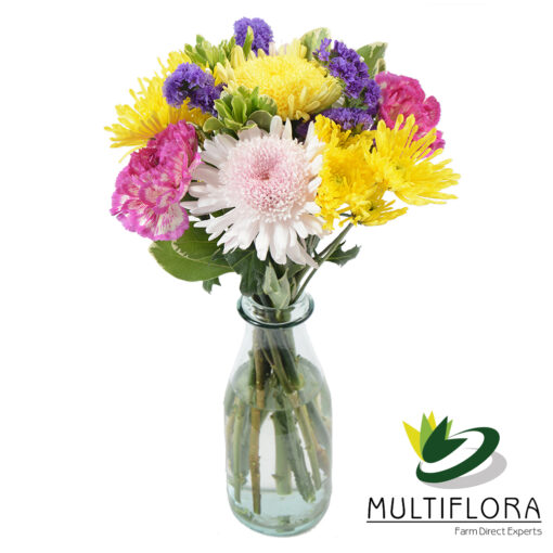 multiflora.com mom 1 mom 1 2
