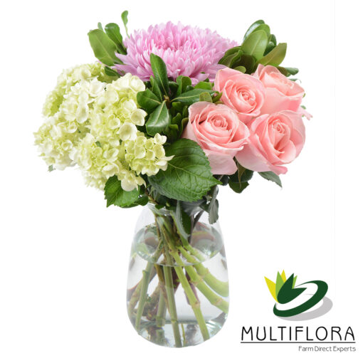 multiflora.com mom 2 mom 2 1