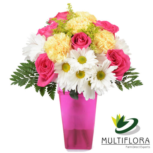 multiflora.com mom 3 mom 3 3