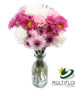 multiflora.com mom 7 mom 7 3