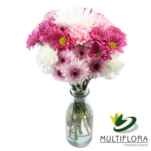 multiflora.com mom 7 mom 7 3