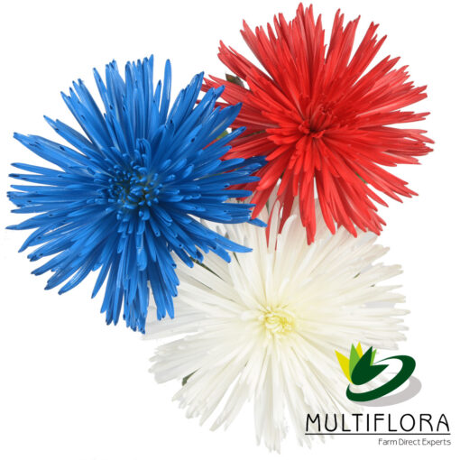 multiflora.com patriotic holidays consumer patriotic holidays prod 1