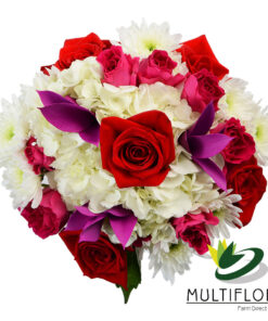multiflora.com roses hydrangeas roses hydrangeas 1 top