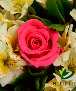 multiflora.com seven dark pink roses alstroemerias seven dark pink roses alstroemerias zoom