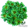 multiflora.com tntglitter green poms daisy tinted green 3