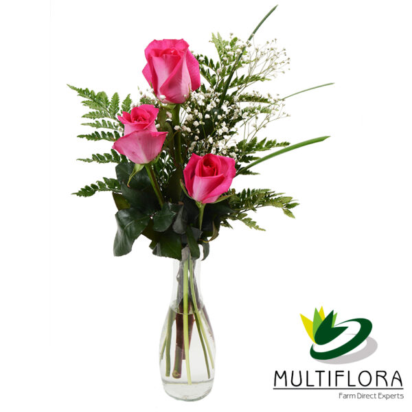 multiflora.com treesome dark pink roses treesome dark pink rose1