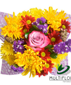 multiflora.com marigold marigold1