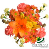 multiflora.com scarlett scarlett