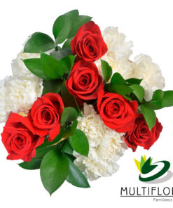 multiflora.com carol carol 2