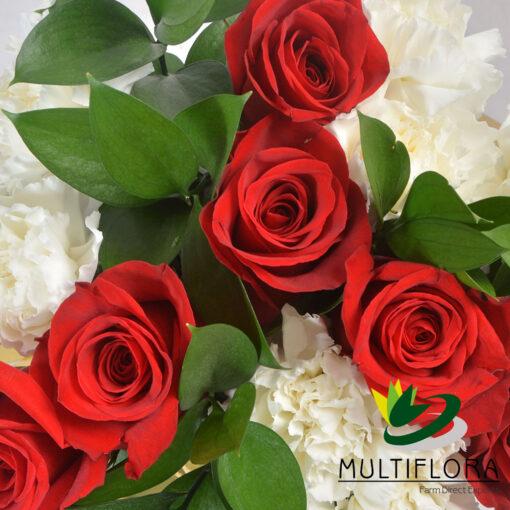 multiflora.com carol carol 4