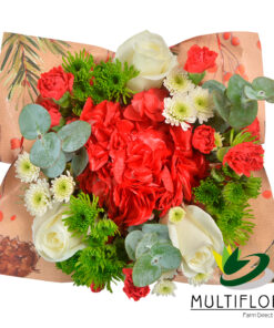 multiflora.com joy joy2