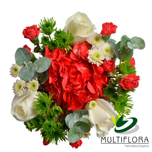 multiflora.com joy joy3
