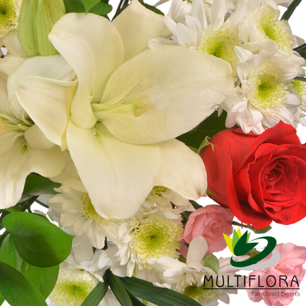 multiflora.com love bqt love 2