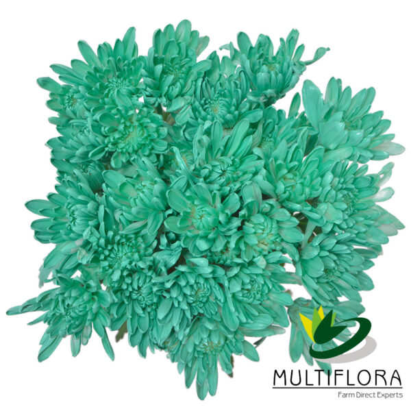 multiflora.com aquamarine cushion cb easter cushion aquamarine 2