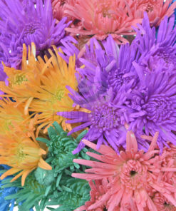 Painted Flowers