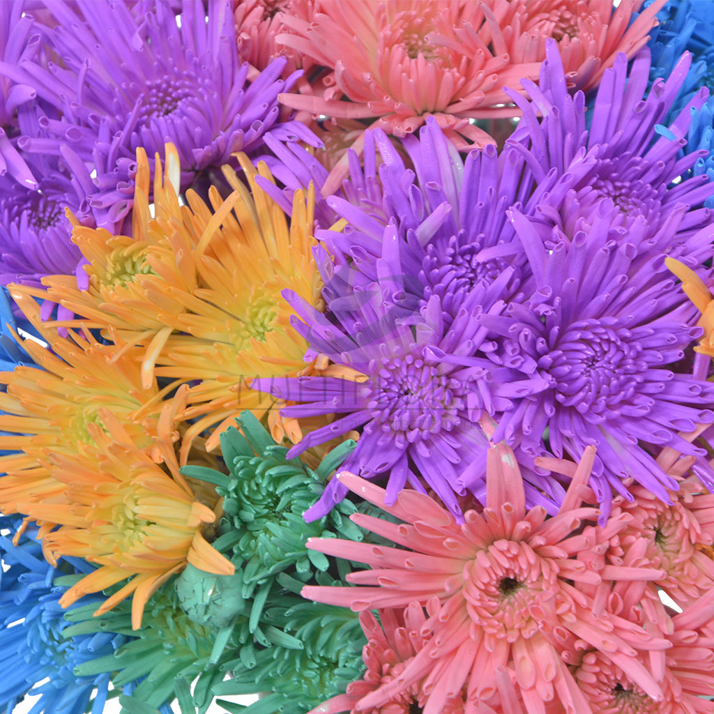Painted Flowers