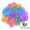 multiflora.com consumer bunches painted novelty poms formato web logo multiflora