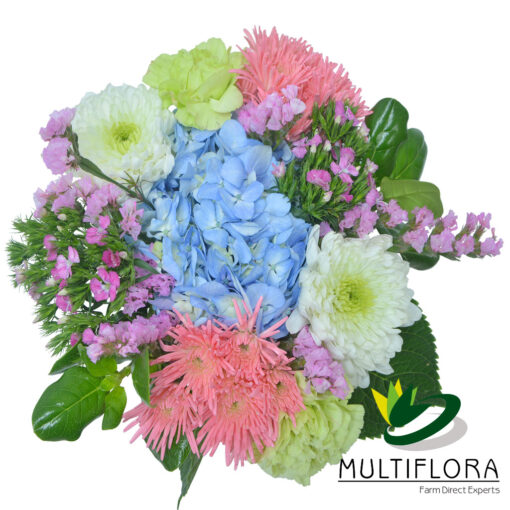 multiflora.com heavenly bqt heavenly bqt product 1