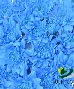 multiflora.com light blue cushion cb easter cushion light blue 3