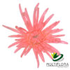 multiflora.com light pink novelty cb easter novelty light pink 1