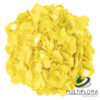 multiflora.com yellow yellow2