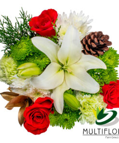 multiflora.com best wishes bqt copy xmas vibes combo bqt a.