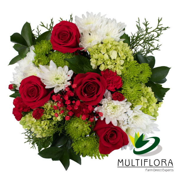 multiflora.com santa claus santa claus bqt