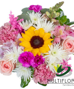 multiflora.com dating combo ub00068954