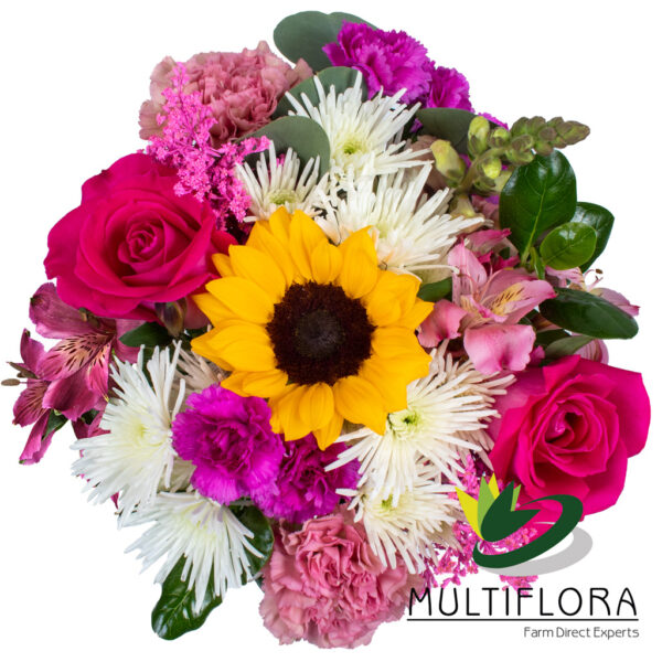 multiflora.com dating combo ub00068957