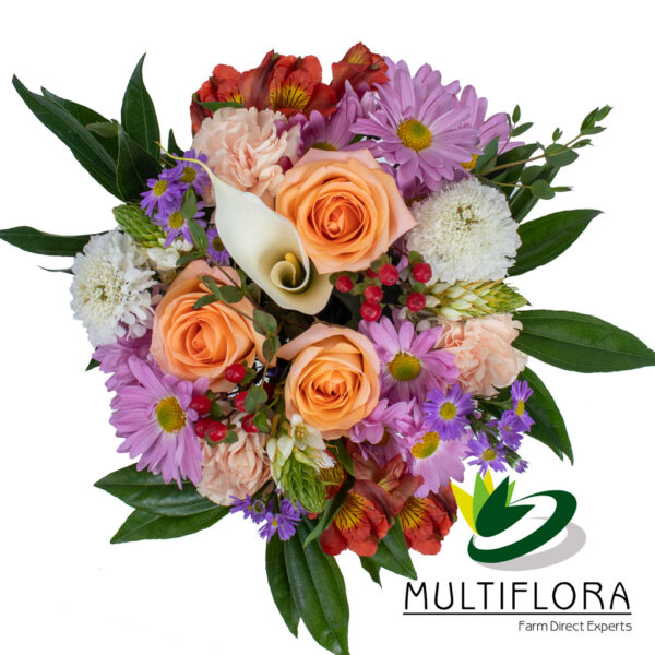 multiflora.com lets kids combo ub00068974
