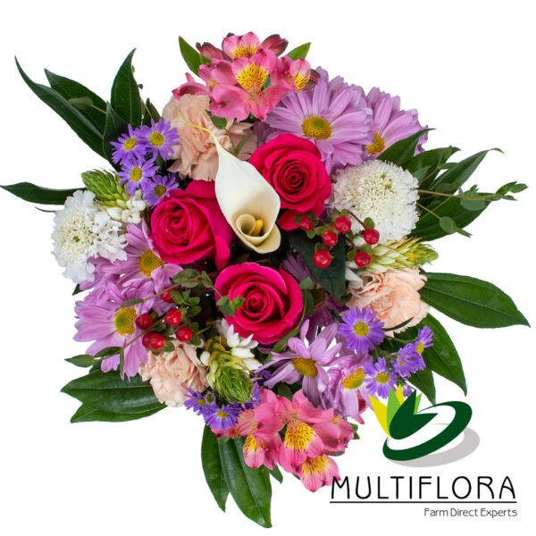 multiflora.com lets kids combo ub00068975