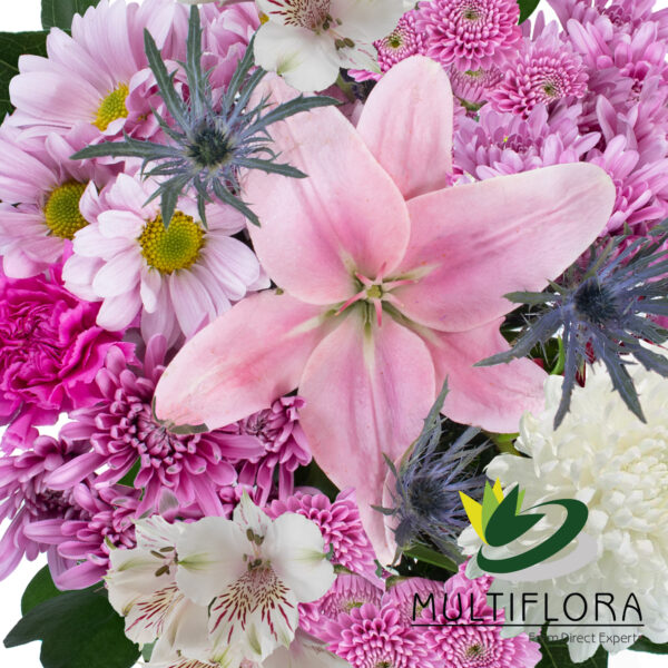 multiflora.com love hug combo ub0068953 copia