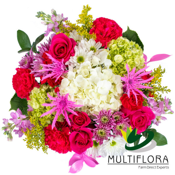 multiflora.com my smile combo ub00068970