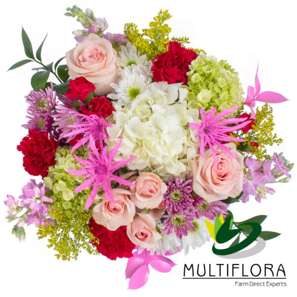 multiflora.com my smile combo ub00068971