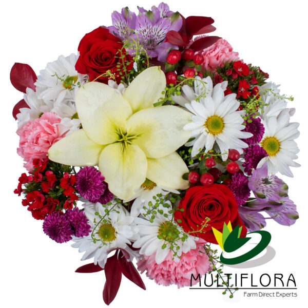 multiflora.com serenade combo ub00068966
