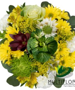 multiflora.com cheerful combo bqt ub00070273 c
