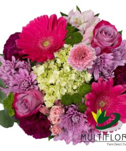multiflora.com dreaming of flowers ub00070355 a