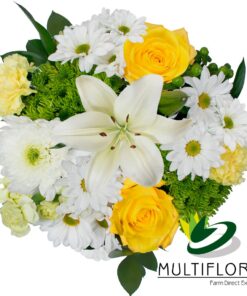 multiflora.com jolly combo bqt ub00070268 a