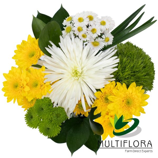 multiflora.com mc green combo bqt ub00070231 c